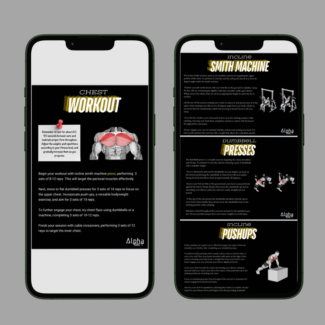 AlphaSET Workout Plan